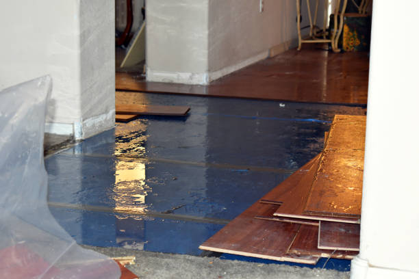Professional Structural Drying technician working in Woodworth, ND